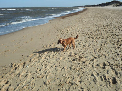 Winterton-On-Sea Beach