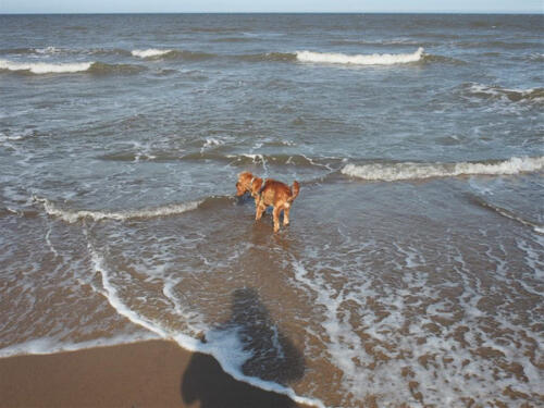 Winterton-On-Sea Beach
