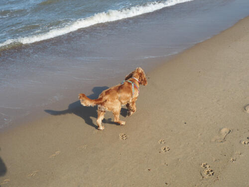 Winterton-On-Sea Beach