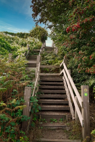 stairs down to the dunes
