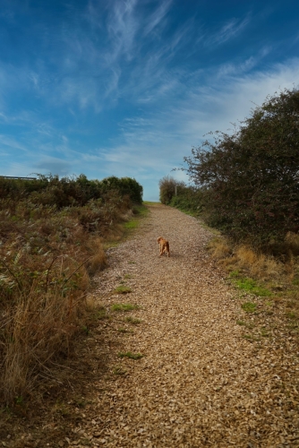 walking up from dunes