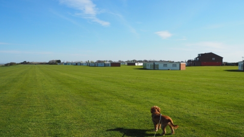 Grass playing area Winterton Valley Estate